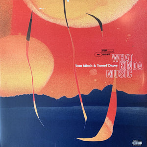 TOM MISCH - What Kinda Music