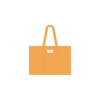 Son Taejin - 04 Eco Bag / 2025 Son Taejin National Tour Concert [It's Son Time] OFFICIAL MD